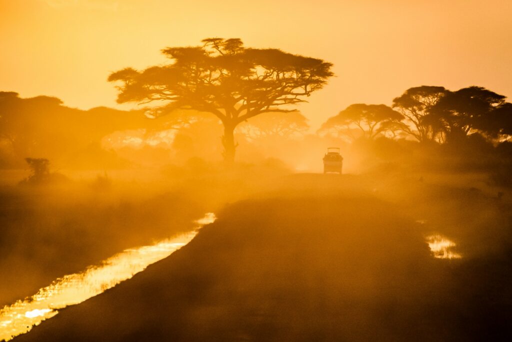 Südafrika Safari Roadtrip 2026 - ©unsplash/sergey pesterev
