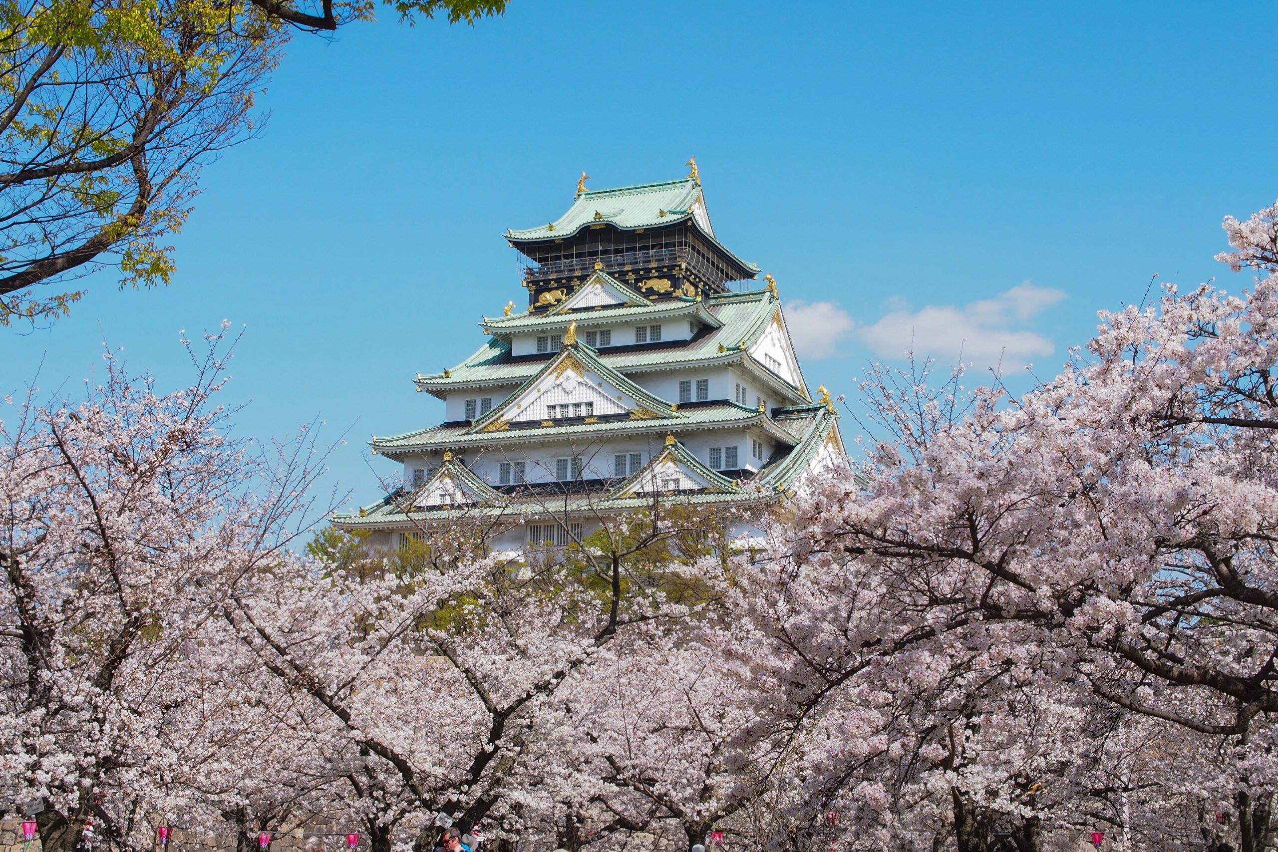Die Burg Osaka im Blütenmeer.