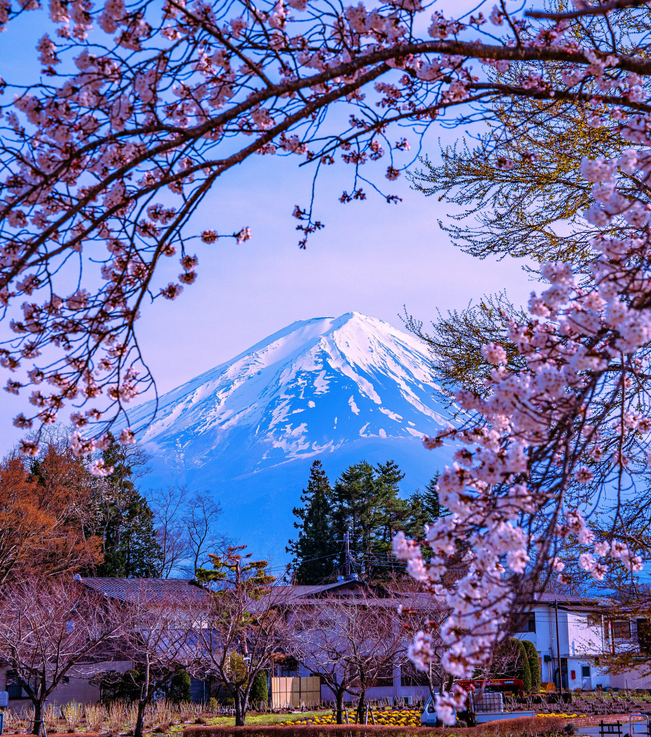 Japan · Kirschblüte 2027