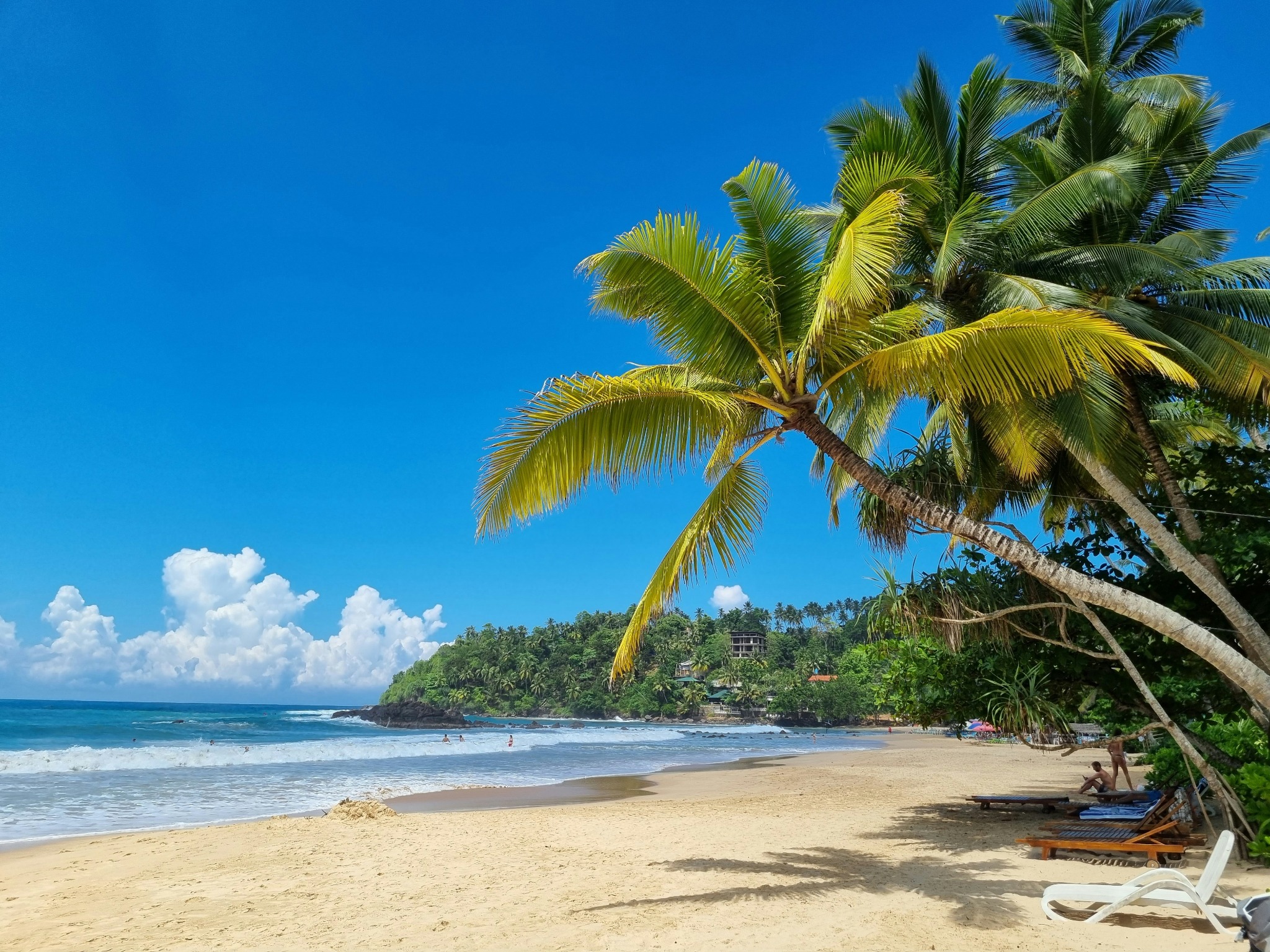 Palmen über einem Sandstrand mit Liegen und türkisblauem Meer.